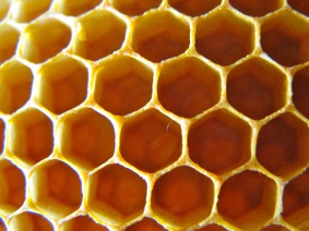 cire-abeille